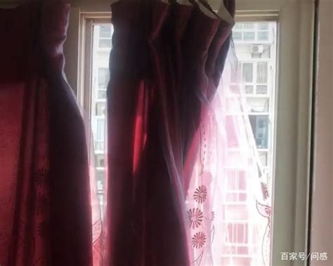 紅窗簾 扶桑